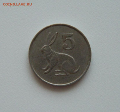 Зимбабве 5 центов 1990 г. (Фауна). до 06.08.20 - DSCN0089.JPG