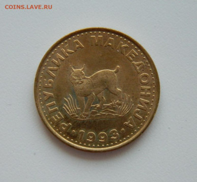 Македония 5 денаров 1993 г. (Фауна). до 06.08.20 - DSCN0125.JPG