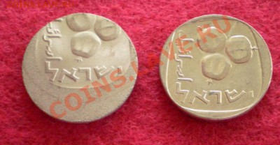 5 агорот .Израиль 1979г.Двойной чеканный брак(аверс,реверс) - 2011-09-11_201547