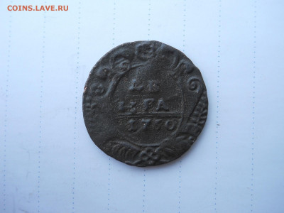 денга1730 4 ряда перьев в хвосте.до 05.08.2020в 22-00 по мск - DSCN5565.JPG