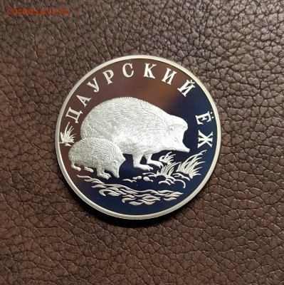 1 рубль 1999 даурский ёж до 06.08.2020 - IMG_20200803_200000
