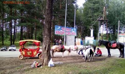 ФОТО - просто фото. Те что получились удачными. - 2020-08-03 17-34-42