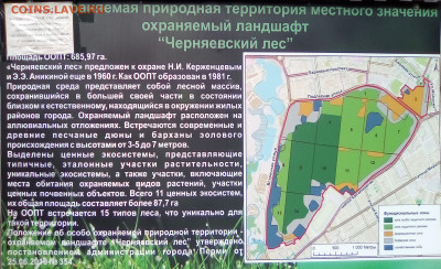 ФОТО - просто фото. Те что получились удачными. - 2020-08-03 17-07-59