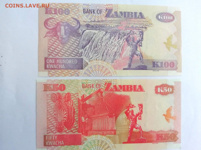 Замбия 50 и 100 квача.Пресс. 08.08. 22:00 - замбия2