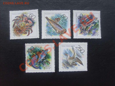 35 руб.63. - S5000021_thumb