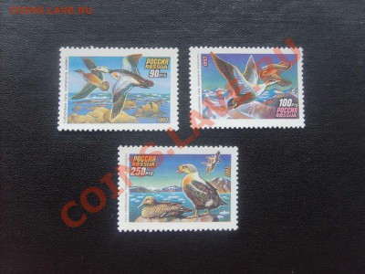 20 руб.62. - S5000020_thumb