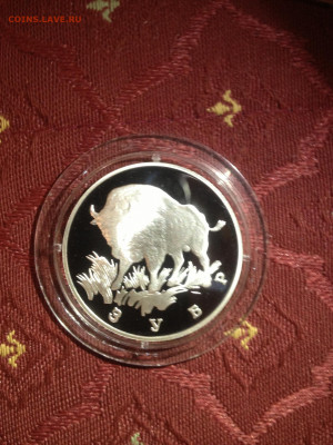 1 руб. Красная книга Зубр, 1997 до 11.08 - jqtaXsTlAmU
