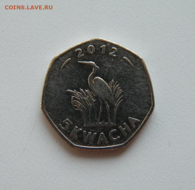 Малави 5 квача 2012 г. (Фауна) до 11.08.20 - DSCN0264.JPG