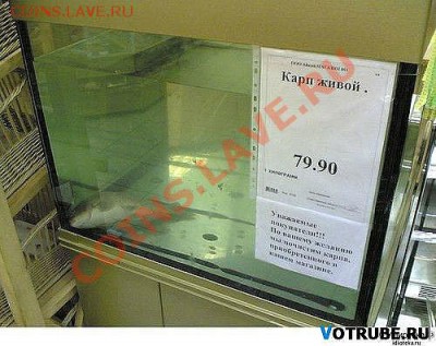 Приколы из магазина и жизни. - getImage (9)