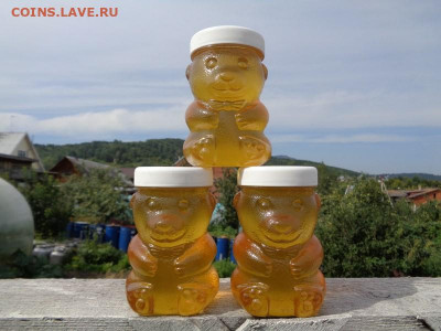 Солонешенский мёд. - DSC07837.JPG