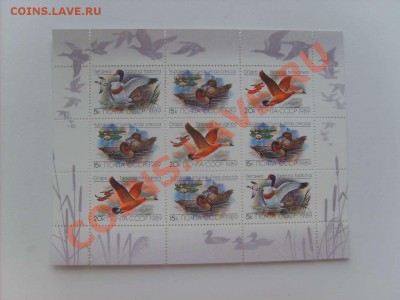 40 руб.22. - S5000026_thumb