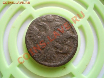 Полушка 1735 Года. Окончание в 21.55, 18.09.2011. - 52.JPG