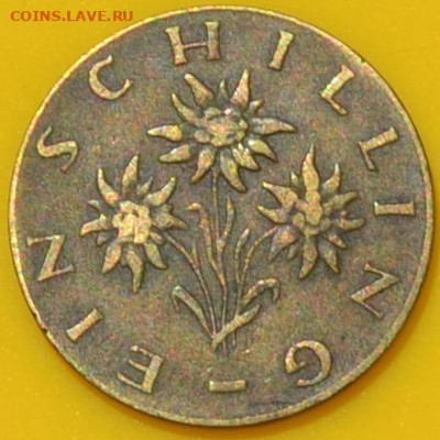 Австрия 1 шиллинг 1959. 10. 08. 2020 в 22 - 00. - DSC_0274.JPG
