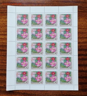 СССР листы по фиксу. до ухода в архив. - IMG_20200808_111429