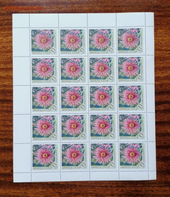 СССР листы по фиксу. до ухода в архив. - IMG_20200808_111450