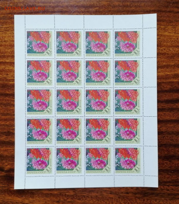 СССР листы по фиксу. до ухода в архив. - IMG_20200808_111500