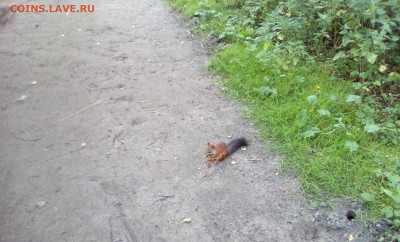 ФОТО - просто фото. Те что получились удачными. - 2020-08-08 19-18-01