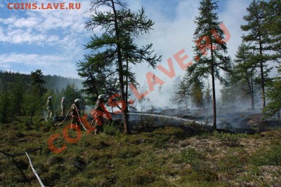 ФОТО - просто фото. Те что получились удачными. - getImage4