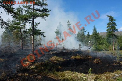 ФОТО - просто фото. Те что получились удачными. - getImage9