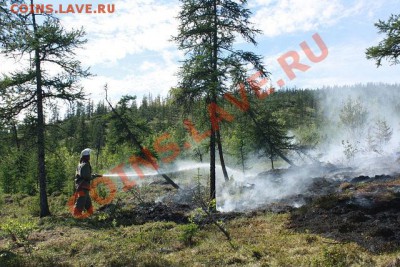 ФОТО - просто фото. Те что получились удачными. - getImage7