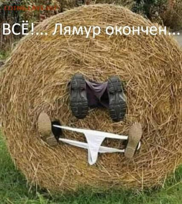 юмор - phpa48GdOCc
