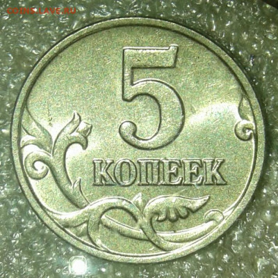 Б   короткий аук  до 12.08.20 - 20200811_091722-1