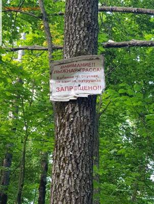 делает - прямо сейчас !!! - Screenshot_20200811-141417_Gallery