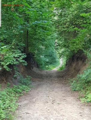 делает - прямо сейчас !!! - Screenshot_20200811-141405_Gallery