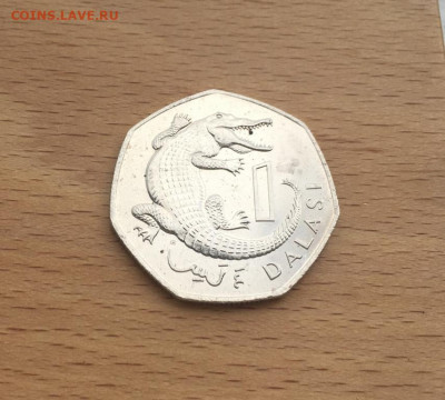 Гамбия 1 даласи 1987 Фауна Крокодил - gambija_1_dalasi_1987_krokodil_fauna (2)