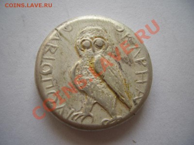 Помощь в оценке монет Ольвии - CIMG0933.JPG