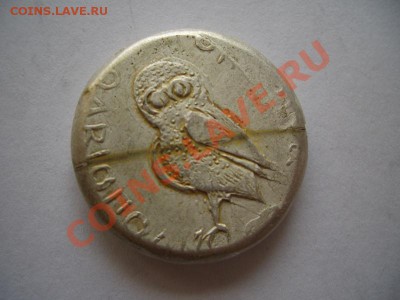 Помощь в оценке монет Ольвии - CIMG0935.JPG