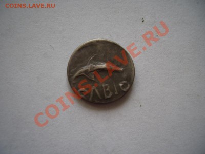 Помощь в оценке монет Ольвии - CIMG0961.JPG