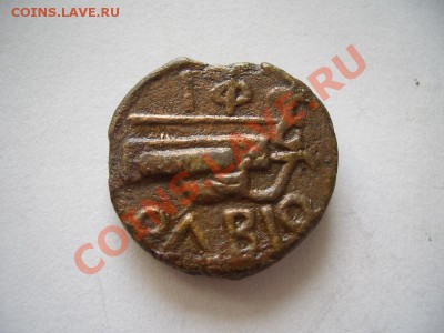 Помощь в оценке монет Ольвии - CIMG0971.JPG