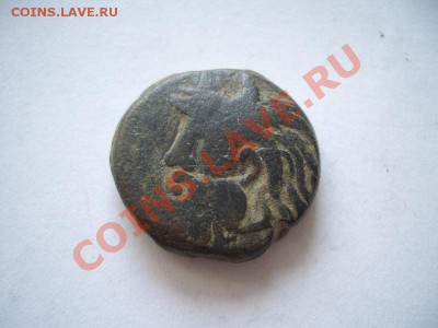 Помощь в оценке монет Ольвии - CIMG0974.JPG