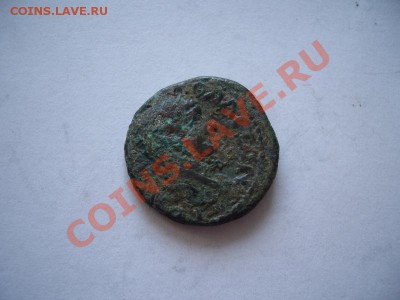 Помощь в оценке монет Ольвии - CIMG0979.JPG