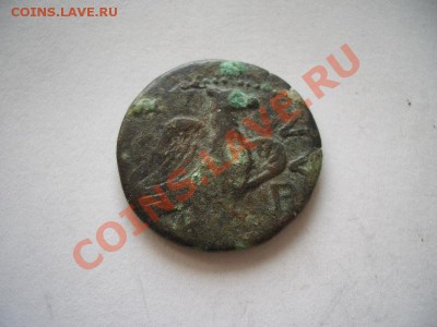 Помощь в оценке монет Ольвии - CIMG0985.JPG