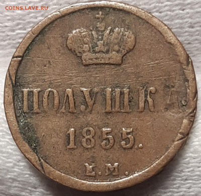 Полушка 1855 Е.М До 19.08.2020 22:00 - 20200817_004906