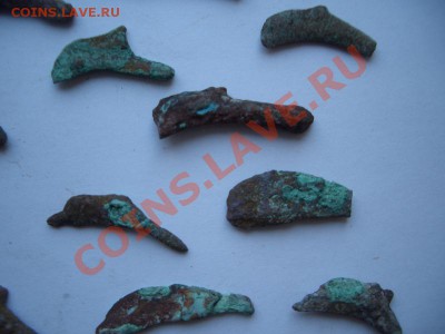 Помощь в оценке монет Ольвии - CIMG1005.JPG