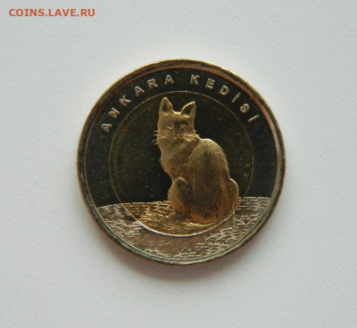Турция 1 лира 2015 г.(Юбилейная) Фауна до 25.08.20 - DSCN0693.JPG