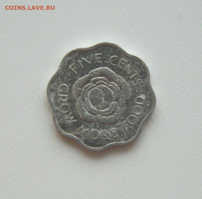 Британские Сейшелы 5 центов 1972 г. (ФАО) до 25.08.20 - DSCN0678.JPG