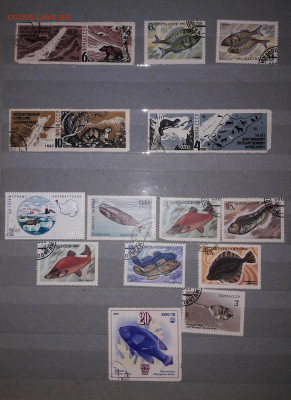 Советский альбом с марками, больше 500 шт. - 20200814_194208