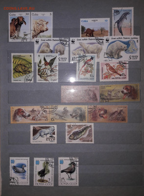 Советский альбом с марками, больше 500 шт. - 20200814_194215
