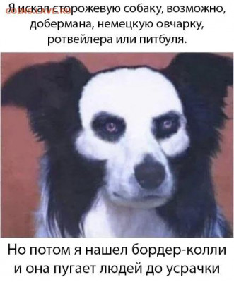 юмор - kvTAvZ-dLQI