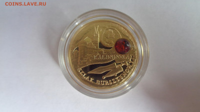 Золото. 5 долларов 2008 Янтарный путь. Калининград - DSC02486 - копия.JPG