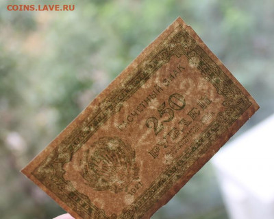 250 рублей 1921 год. - IMG_2345.JPG