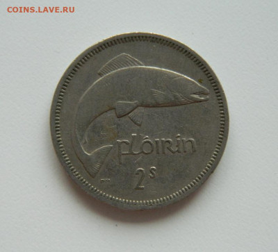 Ирландия 1 флорин 1965 г. (Фауна). до 27.05.20 - DSCN0774.JPG