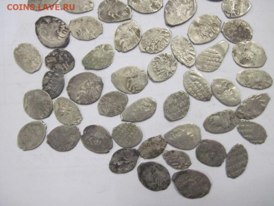 Чешуя разные правители 50 шт.до 27.08.20 - IMG_8799.JPG