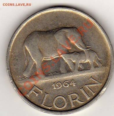 МАЛАВИ ФЛОРИН 1964 СЛОНЫ ДО 19.09.11 В 22.00МСК (503) - img764