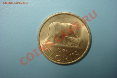 БОТСВАНА, ГАНА, БЕЛИЗ, СИНГАПУР и др. (пополняемая) - DSC00313.JPG