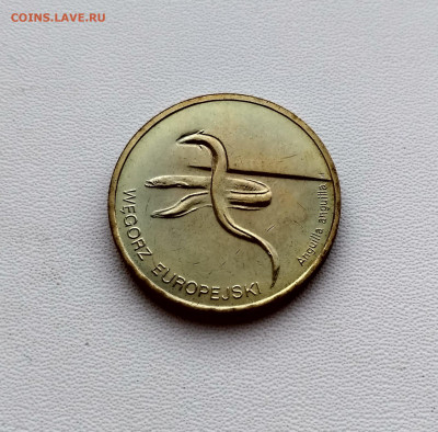 ПОЛЬША,2 злотых 2003г(Европейский угорь)до 30.08.2020г - IMG_20200827_184708_HDR